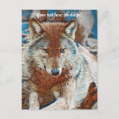 Wolf Postkarte (Vorderseite)