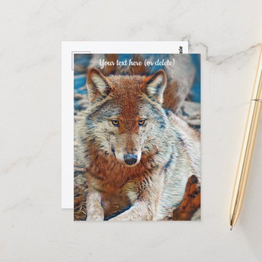Wolf Postkarte (Vorderseite/Rückseite Beispiel)
