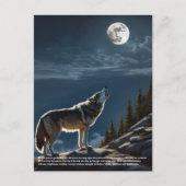 Wolf Postkarte (Vorderseite)