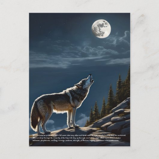 Wolf Postkarte (Vorderseite)