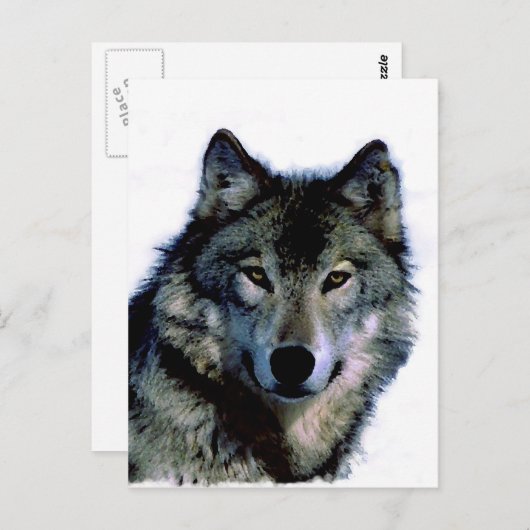 Wolf Postkarte (Vorne/Hinten)