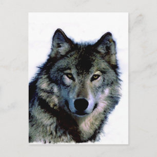 Wolf Postkarte