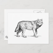 Wolf Postkarte (Vorne/Hinten)