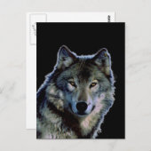 Wolf Postkarte (Vorne/Hinten)