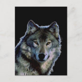 Wolf Postkarte (Vorderseite)