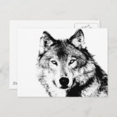 Wolf Postkarte (Vorne/Hinten)