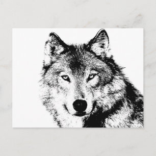 Wolf Postkarte