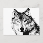 Wolf Postkarte (Vorderseite)