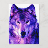 Wolf Postkarte (Vorderseite)