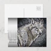 Wolf [Postkarte] Postkarte (Vorne/Hinten)