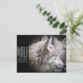 Wolf [Postkarte] Postkarte (Stehend Vorderseite)