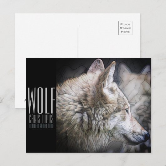 Wolf [Postkarte] Postkarte (Vorne/Hinten)