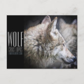 Wolf [Postkarte] Postkarte (Vorderseite)