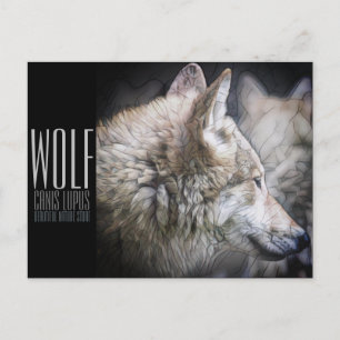 Wolf [Postkarte] Postkarte