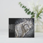 Wolf [Postkarte] Postkarte (Stehend Vorderseite)