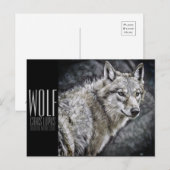 Wolf [Postkarte] Postkarte (Vorne/Hinten)