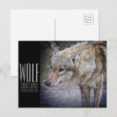 Wolf [Postkarte] Postkarte (Vorne/Hinten)
