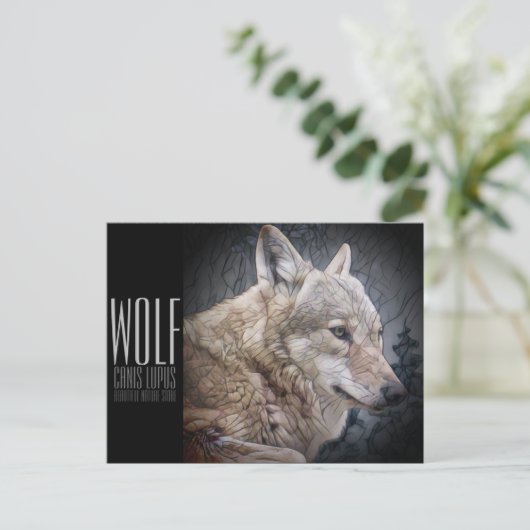 Wolf [Postkarte] Postkarte (Stehend Vorderseite)