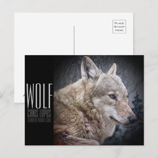 Wolf [Postkarte] Postkarte (Vorne/Hinten)