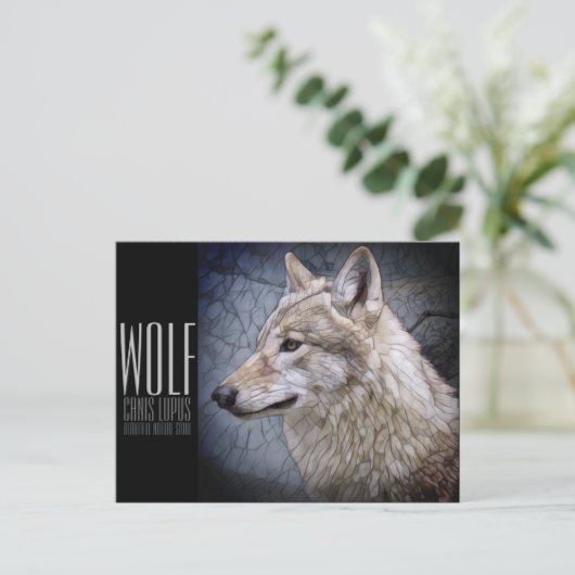 Wolf [Postkarte] Postkarte (Stehend Vorderseite)