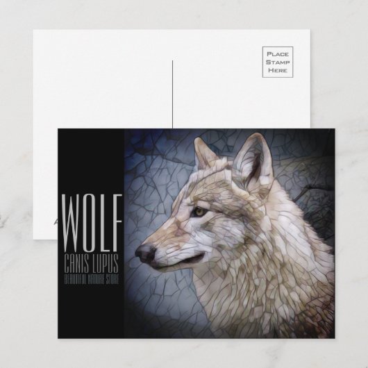 Wolf [Postkarte] Postkarte (Vorne/Hinten)