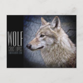 Wolf [Postkarte] Postkarte (Vorderseite)