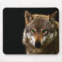 Wolf-Profil mit grüne Augen ~ editable Hintergrund