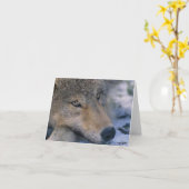 Wolf_pup_closeup Karte (Gelbe Blume)