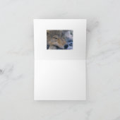 Wolf_pup_closeup Karte (Innenseite)