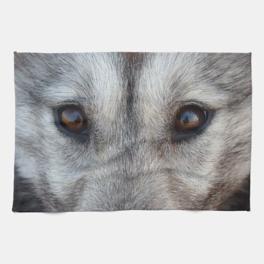 Wolf Pup Handtuch Wild Husky Dog Handtuch (Horizontal)