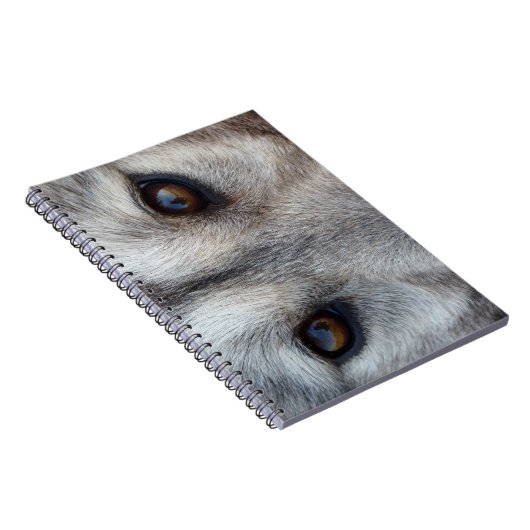 Wolf Pup Notebook Husky / Wolf Geschenke & Bücher (Rechte Seite)