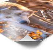 Wolf Puppy AUTUMN FARBEN Fotodruck (Ecke)