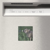 Wolf Puppy Sniffing Mountain Wildblume Magnet (In Situ (Geschirrspüler))