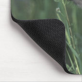 Wolf Puppy Sniffing Mountain Wildblume Mousepad (Ecke)