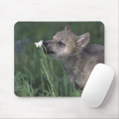 Wolf Puppy Sniffing Mountain Wildblume Mousepad (Mit Mouse)
