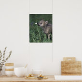 Wolf Puppy Sniffing Mountain Wildblume Poster (Küche)