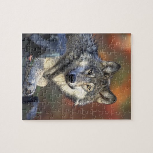 Wolf-Puzzlespiel Puzzle (Horizontal)