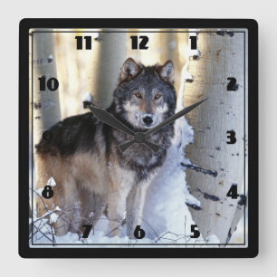 Wolf Quadratische Wanduhr