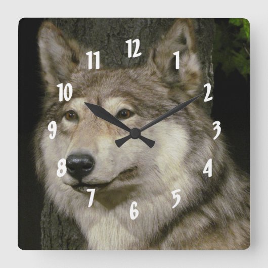 Wolf Quadratische Wanduhr (Vorderseite)
