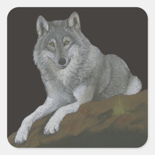 Wolf Quadratischer Aufkleber (Vorderseite)
