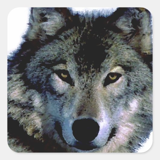 Wolf Quadratischer Aufkleber (Vorderseite)
