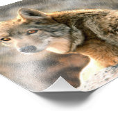 Wolf Rain Grafik Fotodruck (Ecke)