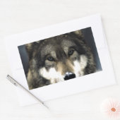 Wolf Rechteckiger Aufkleber (Umschlag)