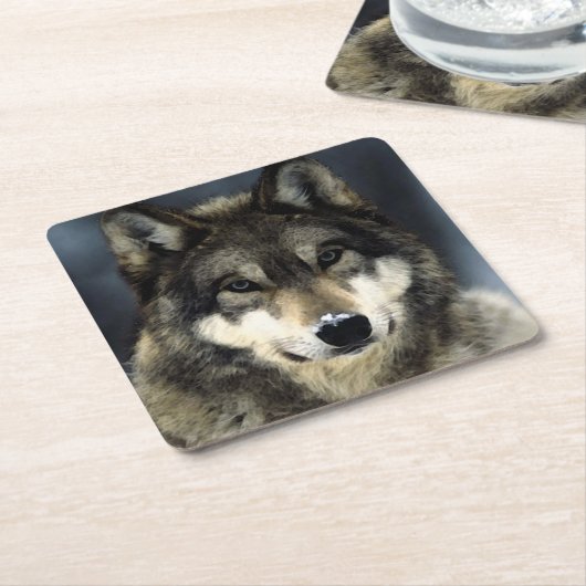 Wolf Rechteckiger Pappuntersetzer (angewinkelt)