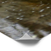 Wolf Reflection Poster (Ecke)