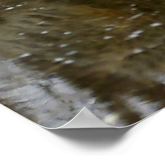 Wolf Reflection Poster (Ecke)