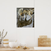 Wolf Reflection Poster (Küche)