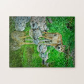Wolf-Reflektion, Grenzgewässer, Minnesota Puzzle (Horizontal)