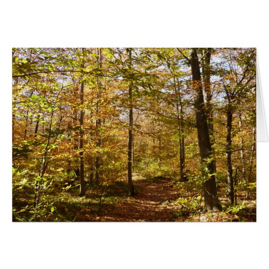 Wolf Rocks Trail im Herbst Pennsylvania Landschaft (Vorderseite (Horizontal))