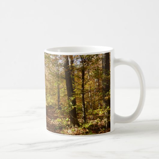 Wolf Rocks Trail im Herbst Pennsylvania Landschaft Kaffeetasse (Rechts)